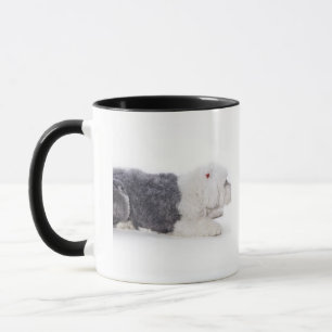 Taza Perro pastor inglés viejo en el fondo blanco