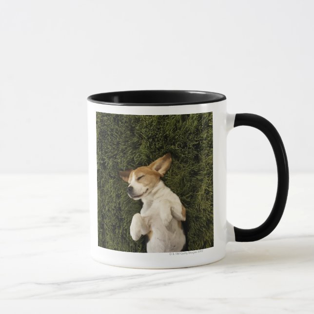 Taza Perro que miente en dormir de la hierba (Derecha)