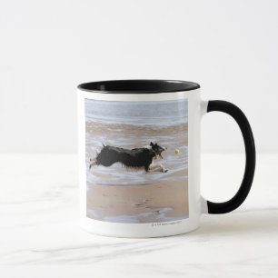Taza Perro que persigue una bola en la playa