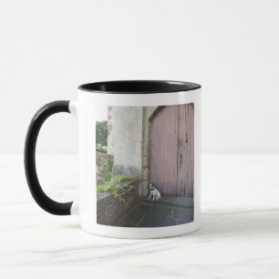 Taza Perro que se sienta delante de puertas cerradas