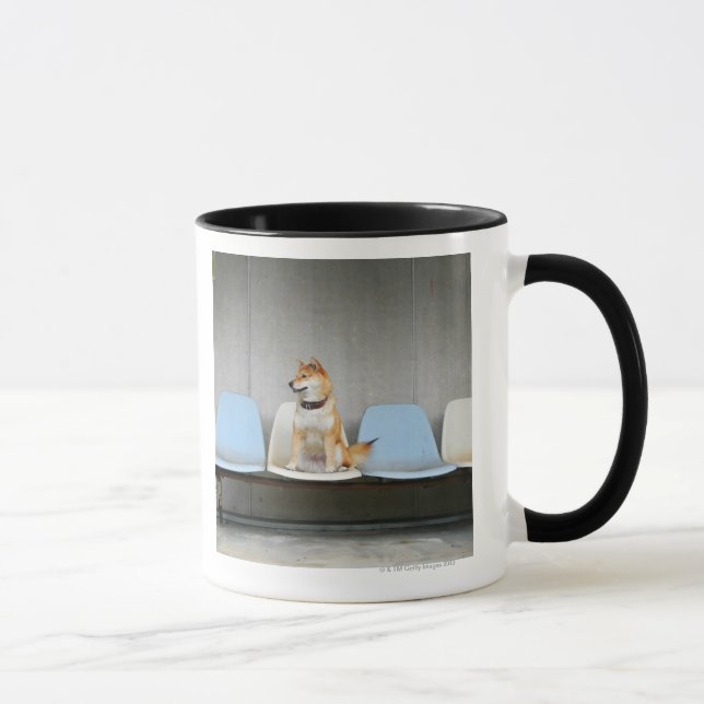 Taza Perro que se sienta en banco (Derecha)