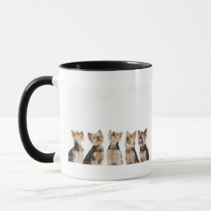 Taza Perros idénticos que se sientan junto