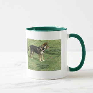 Taza perros, mascotas, animales, tazas, franqueo,