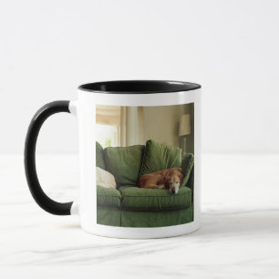 Taza Perros que duermen en el sofá
