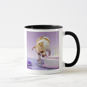 Taza Persiga (chihuahua) la consumición de la torta de