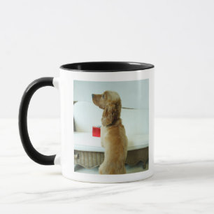 Taza Persiga la situación en un sofá con un regalo