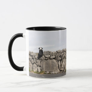 Taza Persiga sentarse en una pared de piedra irlandesa