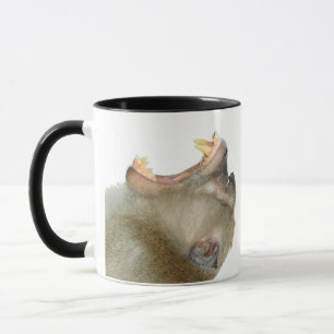 Taza Personalizada - ¡Consígueme una bebida! Mono