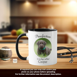 Taza personalizada para perro con foto