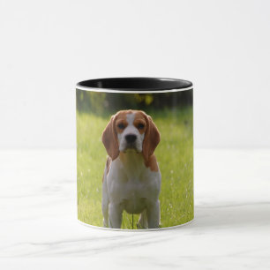 Taza Personalizado Beagle Dog Photo Personalizada