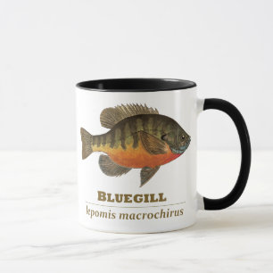 Taza Pesca de pasto azul