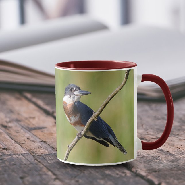 Taza Pescadora de bizcocho en una extremidad (Femaled Belted Kingfisher on a Branch 11 oz Coffee Mug Cover Photo.)
