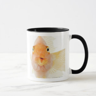 Taza Pescados de agua dulce tropicales