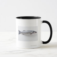 Pescados enteros del branzini