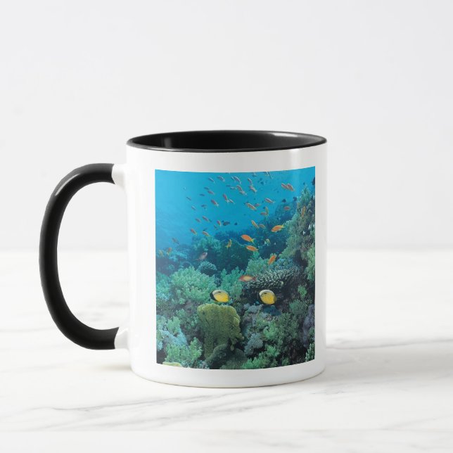 Taza Pescados tropicales que nadan sobre el filón (Izquierda)