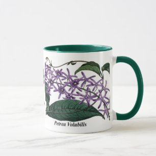 Taza Petrea Volubilis