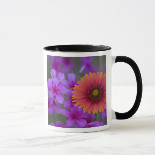Taza Phlox y manta india cerca de Devine Texas