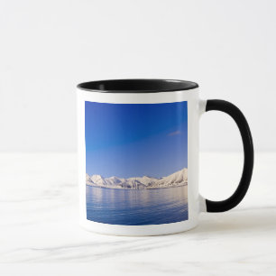Taza Picos nevados Woodfjord Svalbard