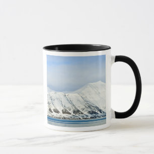 Taza Picos nevados Woodfjord Svalbard 2