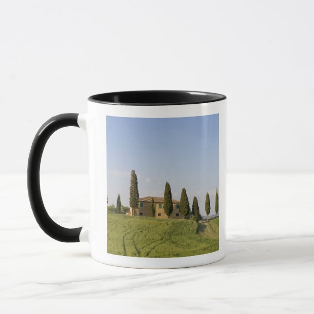 Taza Pienza, Val d'Orcia, provincia de Siena, Toscana, (Izquierda)