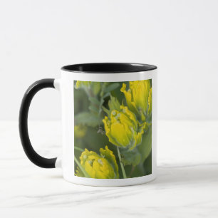 Taza Pincel dorado indio Castilleja