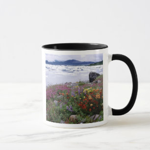 Taza Pincel, Lupino, Epilobio. Icebergs Russell