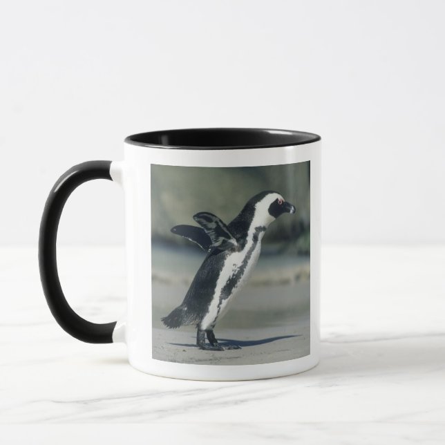 Taza Pingüino africano (Izquierda)