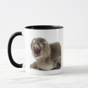 Taza Pingüino africano joven - Spheniscus demersus.