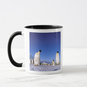 Taza Pingüino   Antártida, Península Antártica
