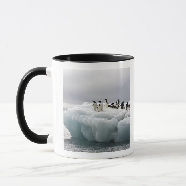 Taza Pingüino de Adelia Pygoscelis adeliae), (Izquierda)