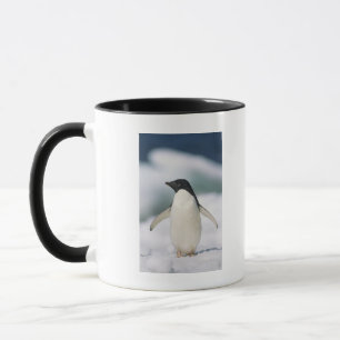 Taza Pingüino de Adelie, primer