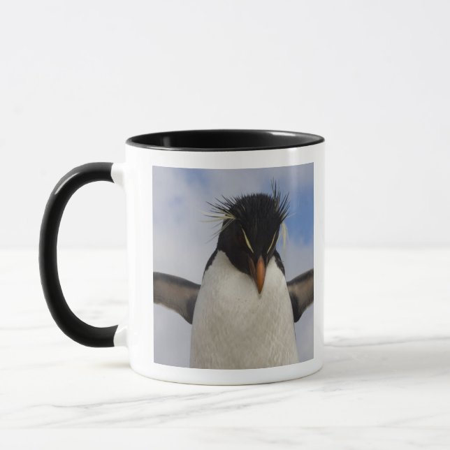 Taza Pingüino de cresta roja Eudyptes chrysocome (Izquierda)