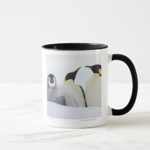 Taza Pingüino de emperador (forsteri del Aptenodytes)