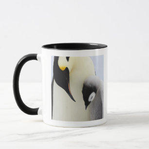 Taza Pingüino de emperador que mira el polluelo