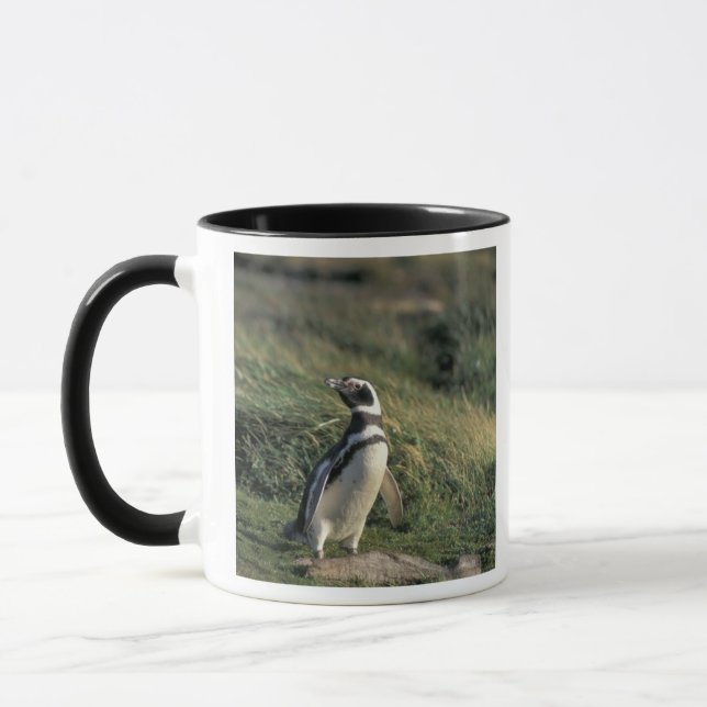 Taza Pingüino de Magallanes (Spheniscus magellanicus), (Izquierda)