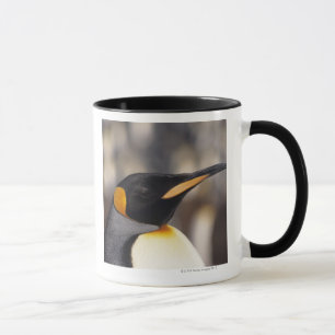 Taza Pingüino de rey (patagonicus del Aptenodytes)
