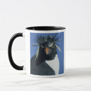 Taza Pingüino de Rockhopper (crisoven de los Eudyptes)