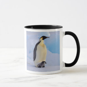 Taza Pingüino Emperador   Aptenodytes