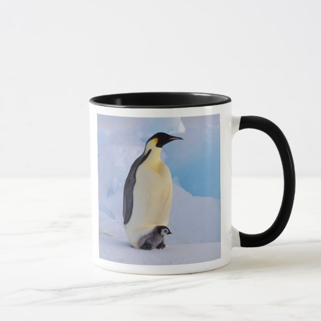 Taza Pingüino Emperador | Aptenodytes (Derecha)