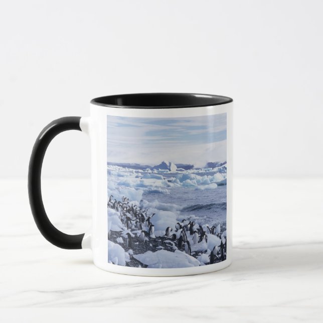 Taza Pingüinos de Adelia Pygoscelis adeliae (Izquierda)