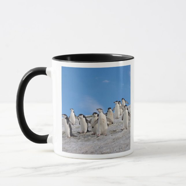 Taza Pingüinos de Barbilla | Pygoscelis Antarctica (Izquierda)