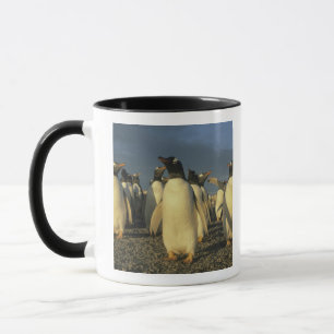 Taza Pingüinos de Gentoo, (Pygoscelis papua), Falkland