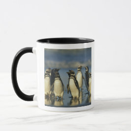 Taza Pingüinos de Magallanes, Spheniscus