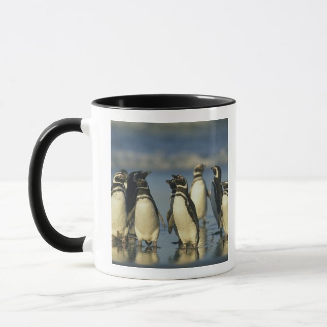 Taza Pingüinos de Magallanes, Spheniscus (Izquierda)