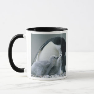 Taza Pingüinos de Penacho Amarillo, Pygoscelis antarcti