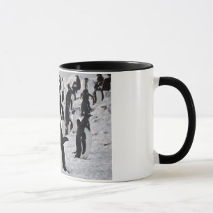Taza Pingüinos en el juego