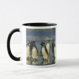 Taza Pingüinos magelánicos, Sfeniscus