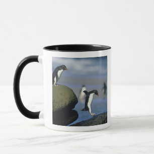 Taza Pingüinos saltarrocas, Eudyptes chrysocome),