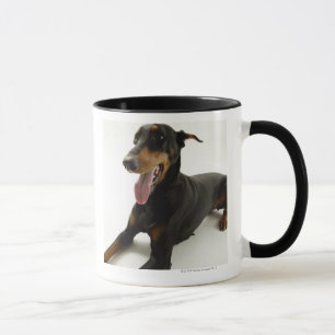 Taza Pinscher 2 del Doberman