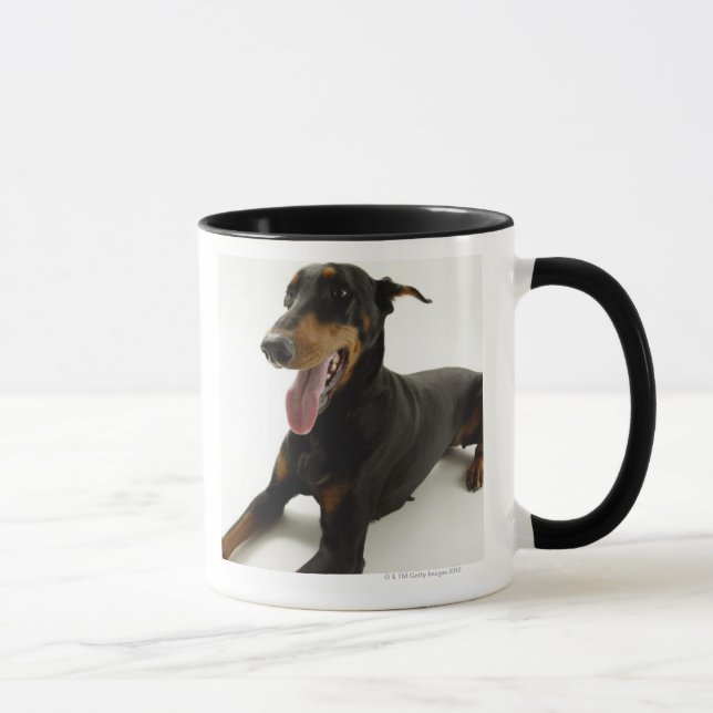 Taza Pinscher 2 del Doberman (Derecha)